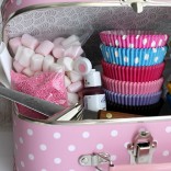 Cupcake Sweetcase classic