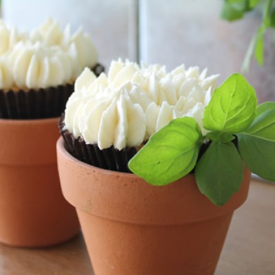 Cupcakes met frisse basilicum en limoen