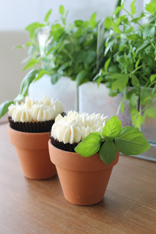 Perfecte basilcum cupcakes maken met basisrecept cupcakes